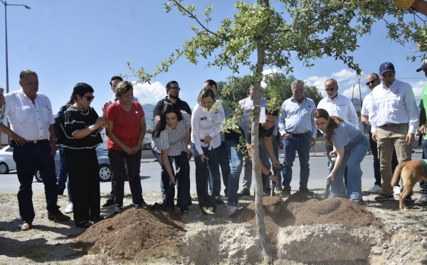 Plantan más de 100 mil árboles en los 38 municipios con la campaña "Verde Verde Coahuila”